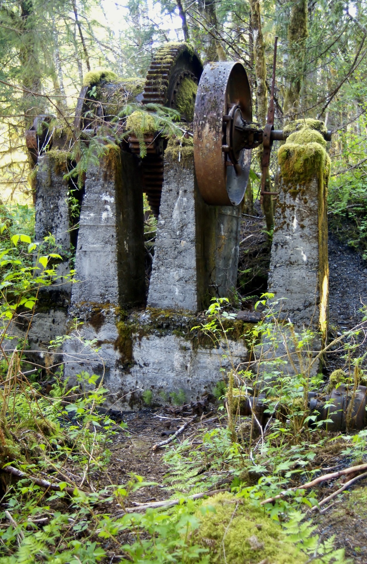 Salt Chuck Trail Near Thorne Bay Alaska Southeast Alaska
