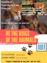 Ketchikan Community Cats Program
